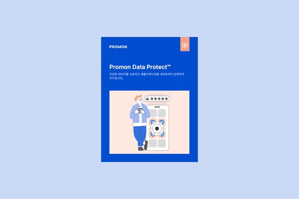 Promon-Korean-Promon-Data-Protect