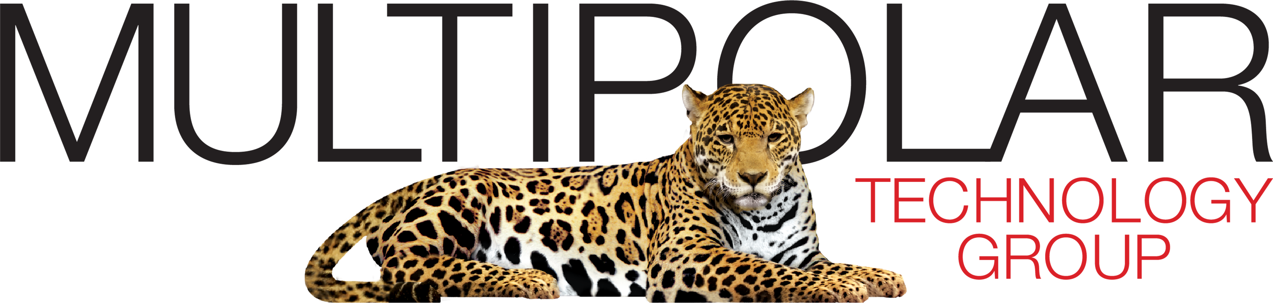 Multipolar technology group